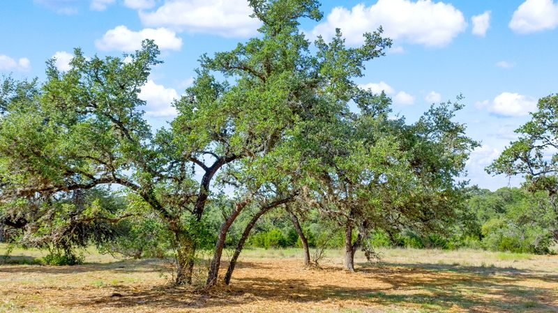 part of edmond ranch: 000 FM 32, Blanco, TX 78606